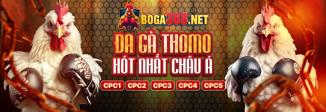 Giao diện ứng dụng qibet trang chủ trên điện thoại di động, hiển thị các trận đấu thể thao