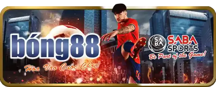 Tiền thưởng chào mừng Qibet